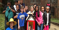 Little Free Library